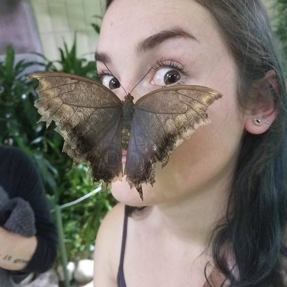 Meet your Posher, Sasha - Picture 1 of 1